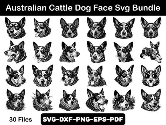 Australian Cattle Dog Face Svg Bundle